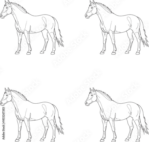 Set of a line art silhouette horse vector illustration. 