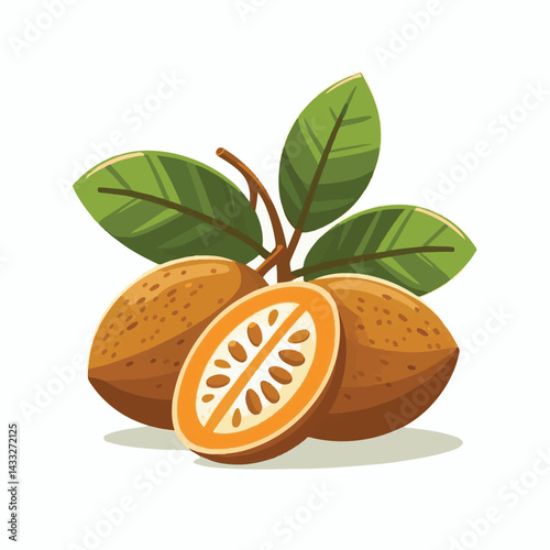 delicious, background, fresh, brown, natural, food, diet, fruit, sapodilla, sweet, healthy, organic, nutrition, closeup, health, juicy, ripe, agriculture, tasty, asian, asia, nature, vegetarian, vitam