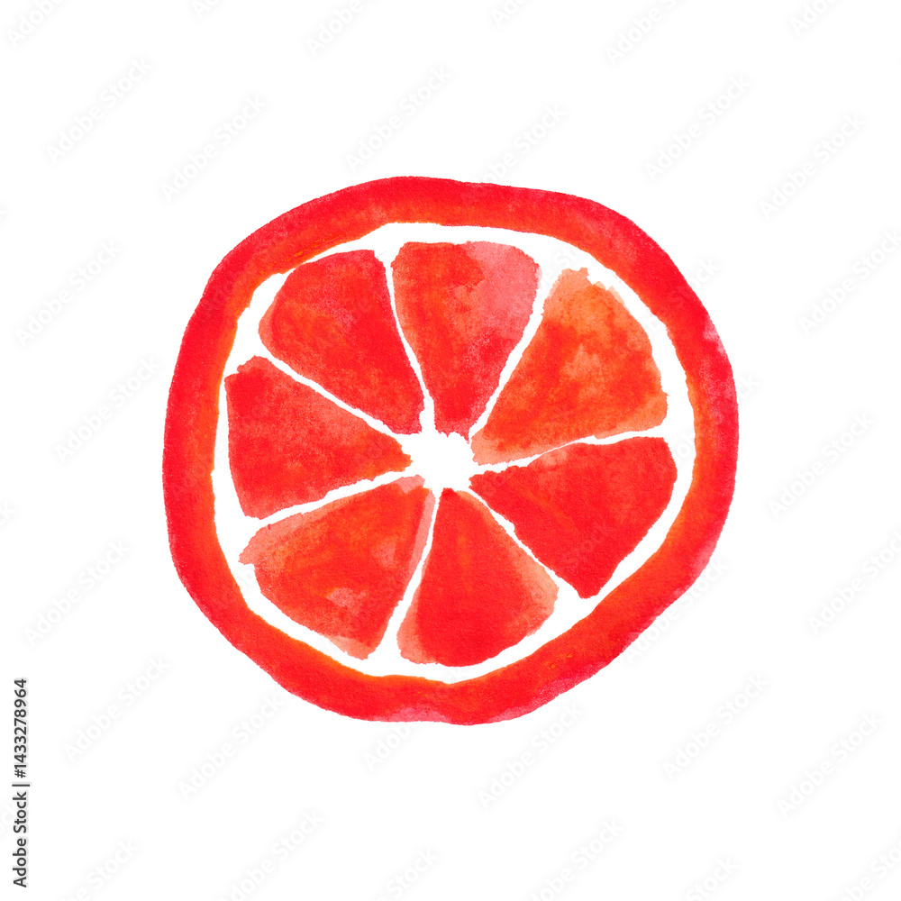 Watercolor grapefruit circle isolated on white background. Summer fruit design element.