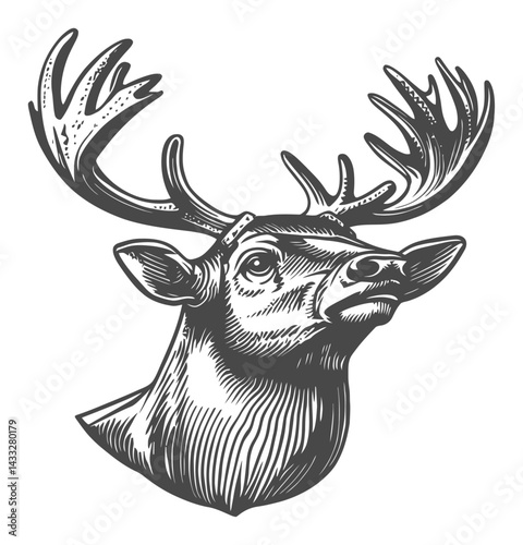 Detailed Black and White Engraving of a Majestic Deer Head