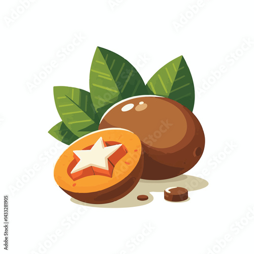 tropical, sapote, food, fresh, fruit, healthy, ripe, background, exotic, white, tasty, nature, delicious, sweet, brown, pouteria, nutrition, organic, raw, vitamin, natural, juicy, diet, green, edible,