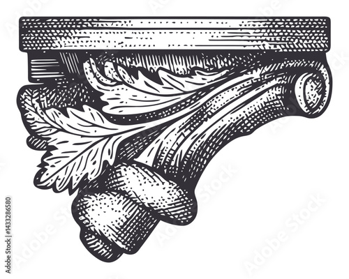 Detailed Engraving of Ornate Architectural Capital Design