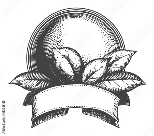 Vintage Illustration of Circular Badge with Leaves and Blank Banner