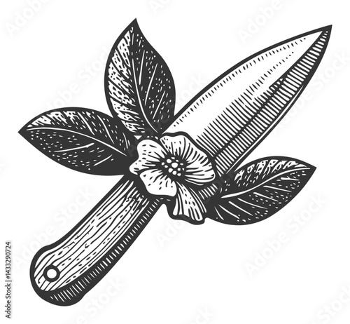 Vintage Engraved Knife with Flower and Leaves Illustration Design