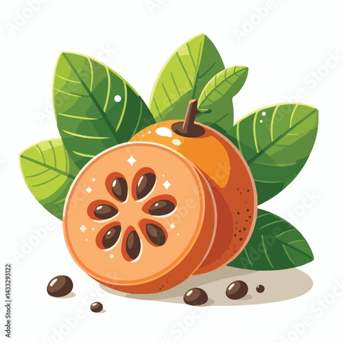 tropical, sapote, food, fresh, fruit, healthy, ripe, background, exotic, white, tasty, nature, delicious, sweet, brown, pouteria, nutrition, organic, raw, vitamin, natural, juicy, diet, green, edible,