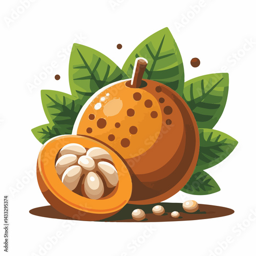 tropical, sapote, food, fresh, fruit, healthy, ripe, background, exotic, white, tasty, nature, delicious, sweet, brown, pouteria, nutrition, organic, raw, vitamin, natural, juicy, diet, green, edible,