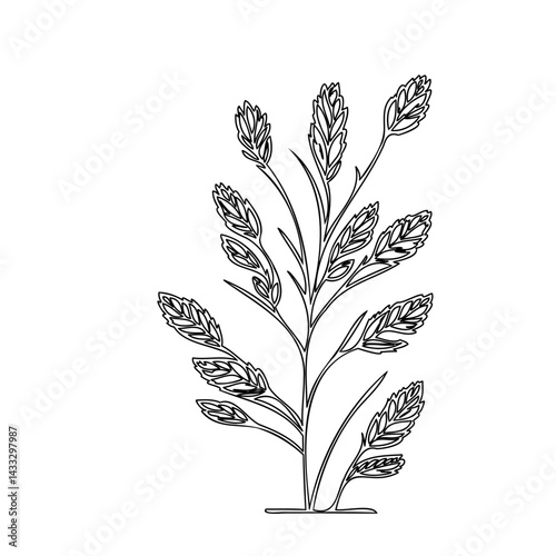 Minimalist botanical illustration of a flowering plant with intricate leaf details