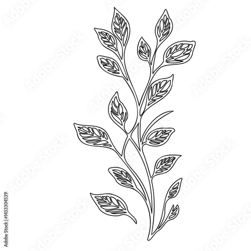 Delicate line drawing of a leafy sprig providing organic design element