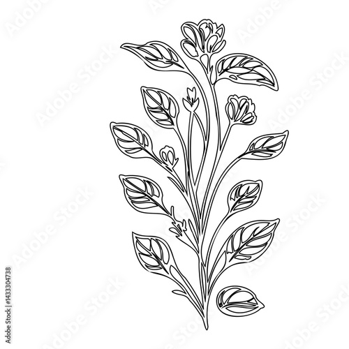 Delicate botanical illustration featuring a blooming flower branch, a minimalist monochrome