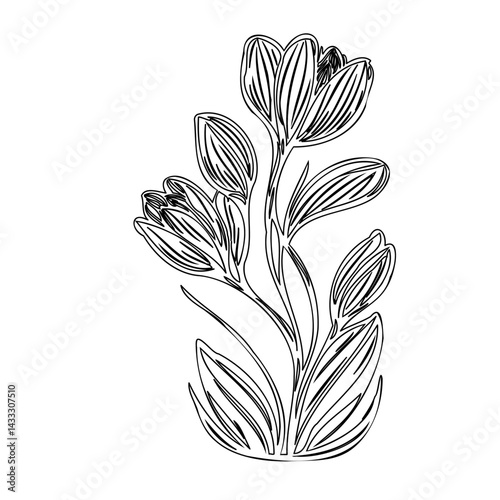 Elegant floral sketch of blossoming buds with graphic design for backgrounds