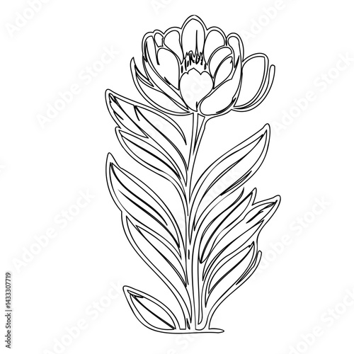Elegant line drawing of a blossoming flower with elongated leaves and stem