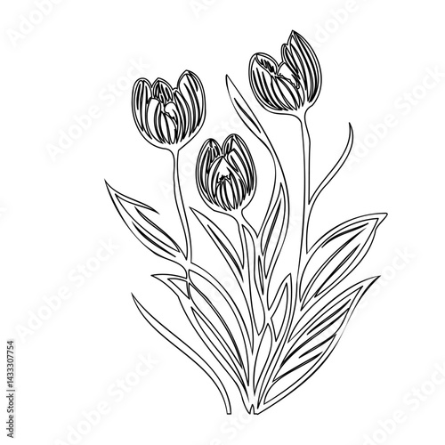 Elegantly sketched tulips in a minimalist line art illustration on white backdrop