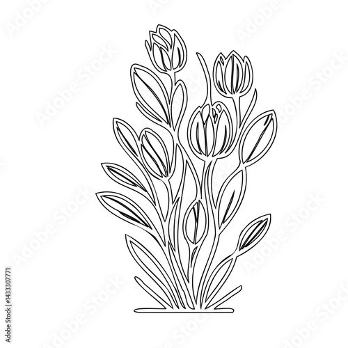Monochrome floral line drawing of unopened tulips, with elegant minimalism design