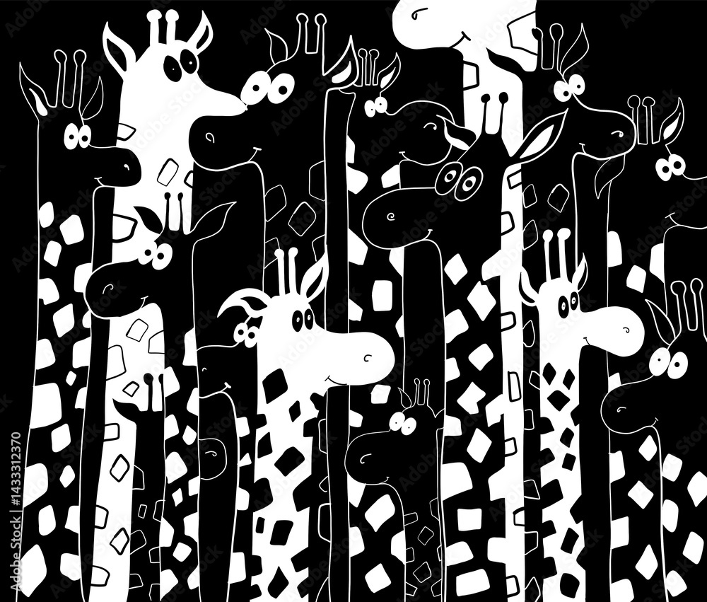 Fototapeta premium many black and white giraffes