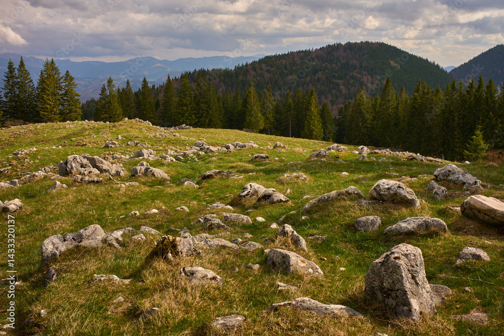 Rocky alpine meadow with forest and distant hills