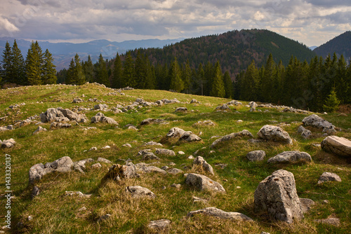Obraz na płótnie Rocky alpine meadow with forest and distant hills w salonie