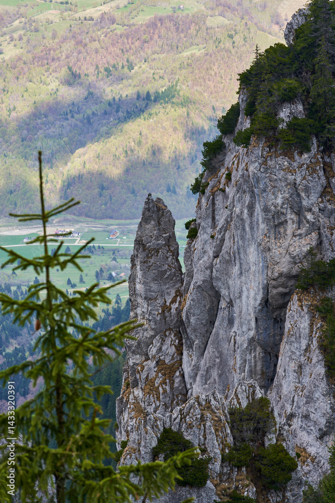 Aerial view of sharp limestone spires in alpine forest