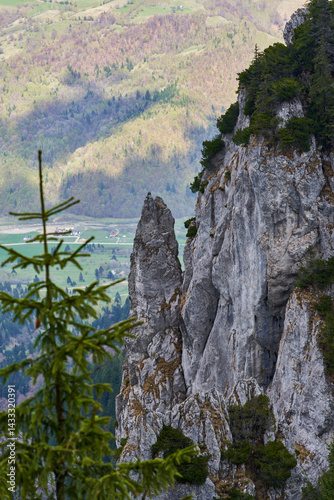 Obraz na płótnie Aerial view of sharp limestone spires in alpine forest w salonie