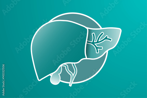 Simple Liver shape illustration cut in half to view cystic ducts, on gray background with ring frame. Gallbladder behind liver. Liver anatomy background template with  copy space. Vector Illustration.