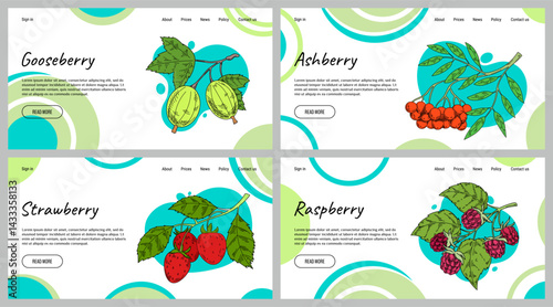 Berry web banner. Gooseberry and ashberry colorful sketch on abstract background, strawberry and raspberry website design, healthy food ingredient, fresh organic fruit vector cartoon flat illustration