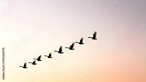 Wallpaper Mural Birds In Flight Formation At Sunrise Torontodigital.ca