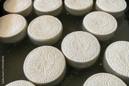 Close up of wheels of pecorino floating in a bath of brine in a production facility in Puglia, Italy