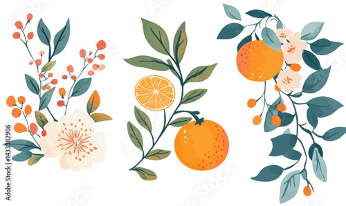 Watercolor Orange Blossom and Fruit Branches Vector Illustration for Trendy Prints