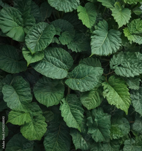 Close-up of vibrant green leaves, intricate vein details, summer, jungle