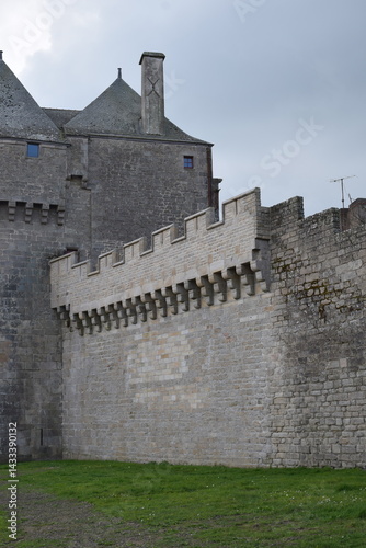 Rempart médiéval en pierre avec tour et château