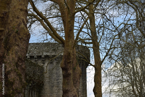 Rempart médiéval en pierre avec tour et arbre