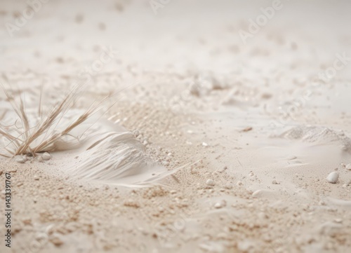 Faded white, almost imperceptible grain, peaceful  ,  tranquil,  delicate,  soft