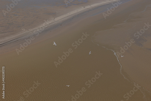 Vászonkép Sea and seagulls