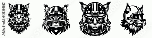 Maine Coon Cat head with american football helmet. Sport lover graphic design. Shaggy feline face in gridiron gear protective headgear for domestic longhair.