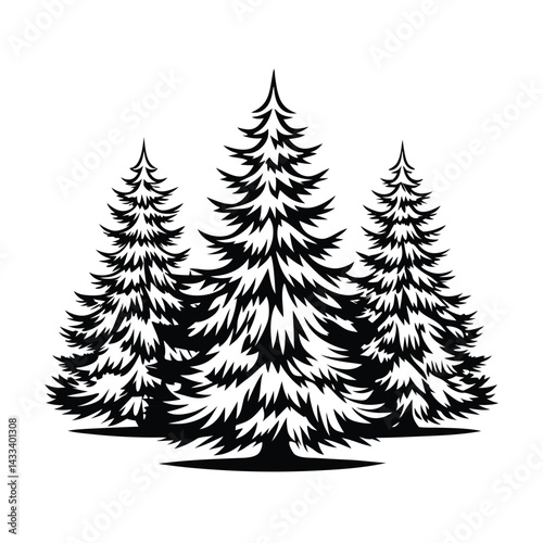 Evergreen Trees Silhouette, Pine Forest, Conifer, Nature, Woodland, Monochrome, Black