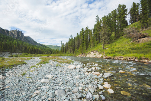 River in the forest, Altai Mountains. Russia