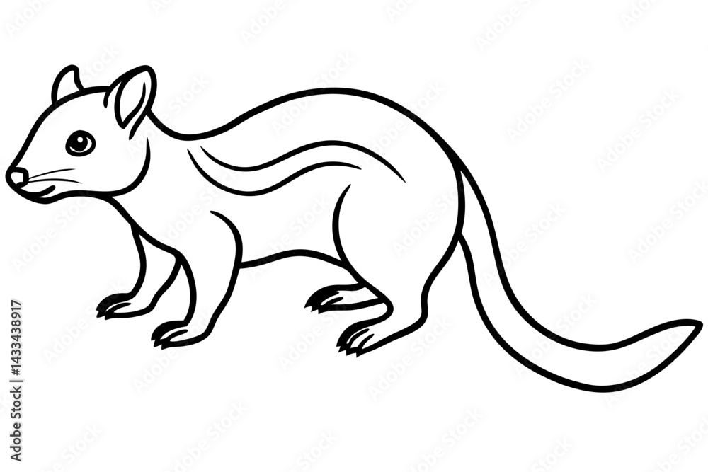 Fototapeta premium Quoll Silhouette Design