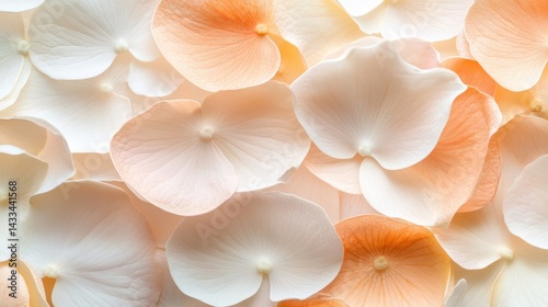 Delicate pastel colored flower petals with a soft texture arrangement
