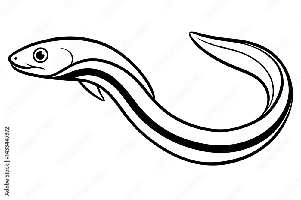Ribbon Eel Outline Design Ribbon Eel Outline Design