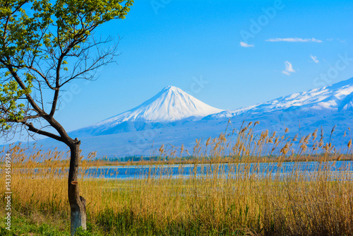 Beautiful mountain and natural landscape with lake and trees. Trees on the river bank and volcanic mountain. Snowy peak of Mount Ararat
