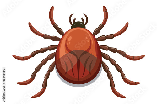 Illustration of tick animal on white.