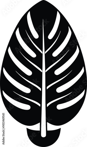 Monstera deliciosa icon black silhouette vector illustration on transparent background
