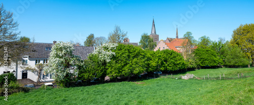 blue sky and spring blossoms at wijk bij duurstede in the netherlands