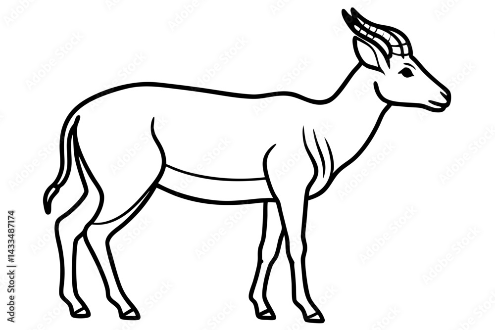 Obraz premium Saiga Antelope Outline Art