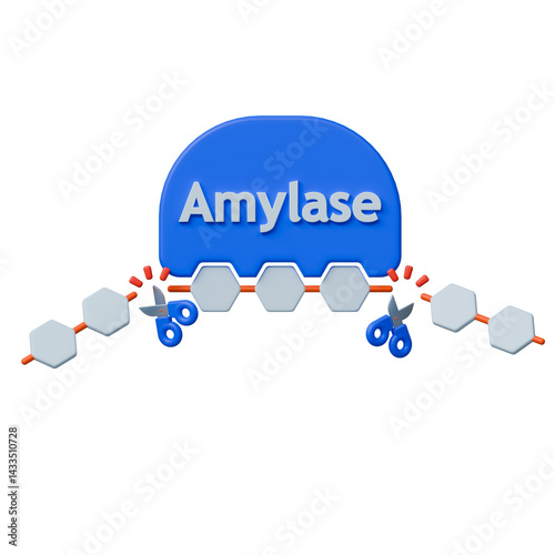Amylase enzyme breaking down starch into sugar molecules with scissors symbolizing hydrolysis action.