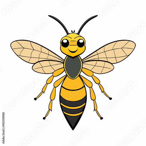 bee vector illustration