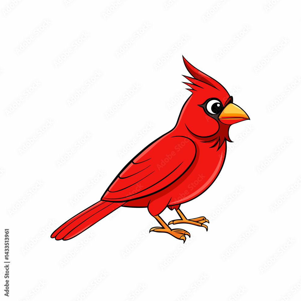Fototapeta premium red cardinal bird