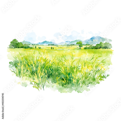 Beautiful Green Rice Field Panorama with Mountains Isolated Hand Drawn Watercolor Illustration