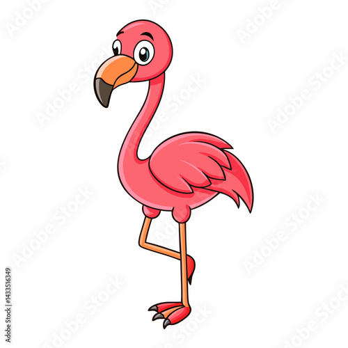 flamingo vector illustration