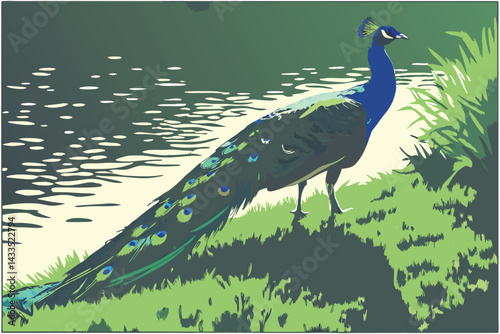 75 Majestic peacock, vibrant blue neck feathers, standing on lush green grass, near a sparkling pond, sunlit scene, detailed plumage, natural habitat, wildlife photography, high resolution, vivid colo