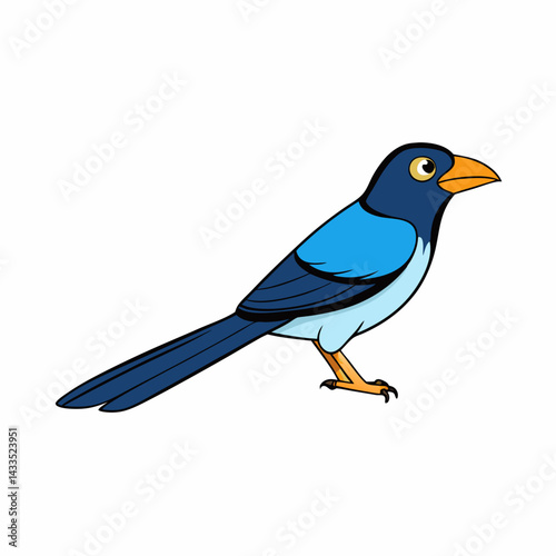 blue tit isolated on white background